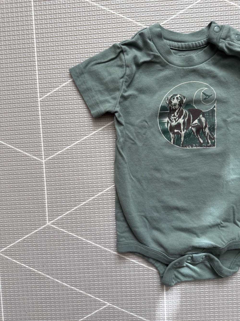 Carhartt|Baby boy Sage Green Puppy dog Graphic One-Piece Bodysuit,short sleeve••